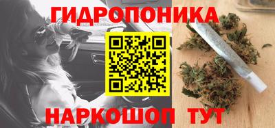 прущие крисы Рыбинск